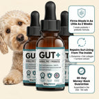 GUT+ for Dogs