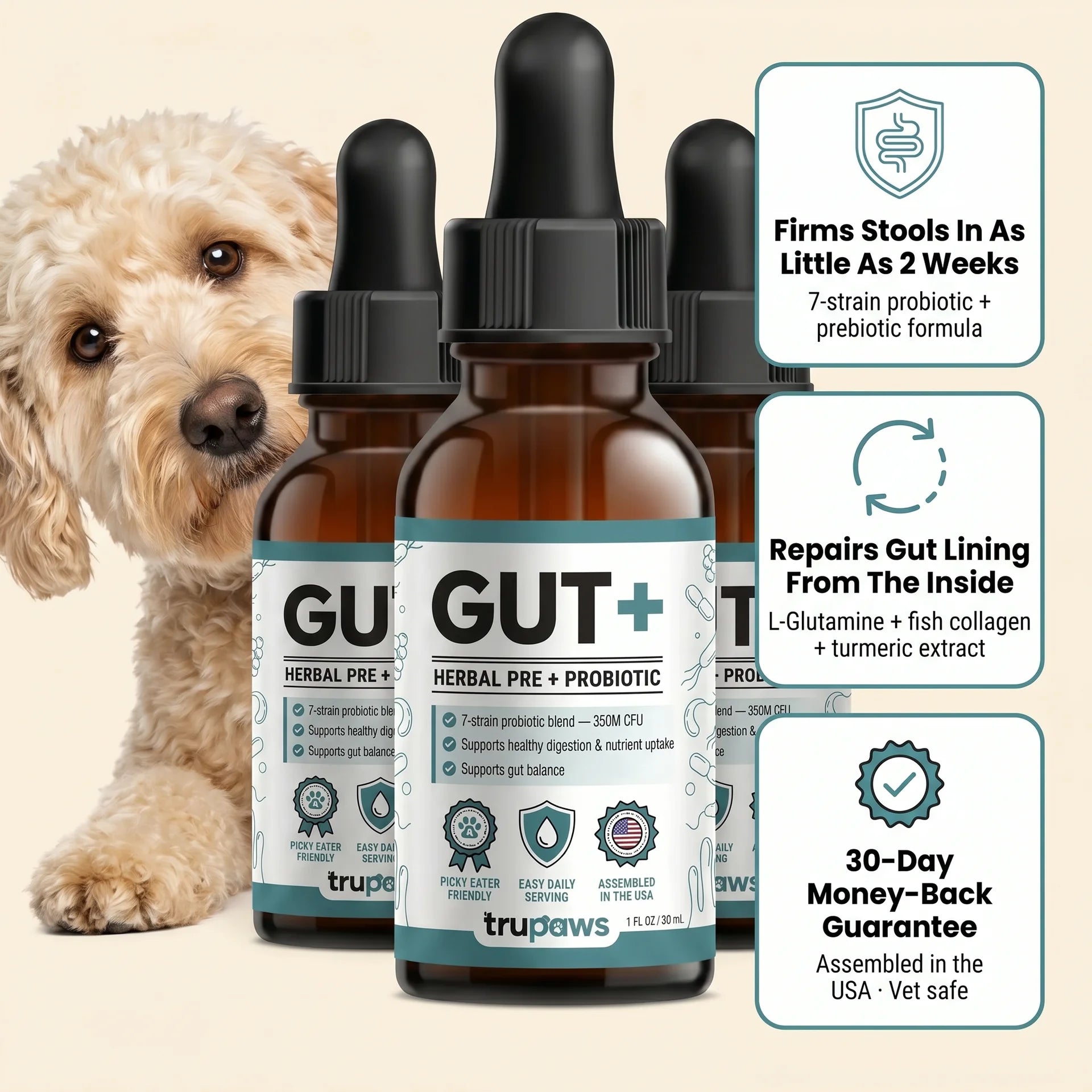 GUT+ for Dogs