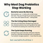 GUT+ for Dogs