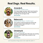 GUT+ for Dogs