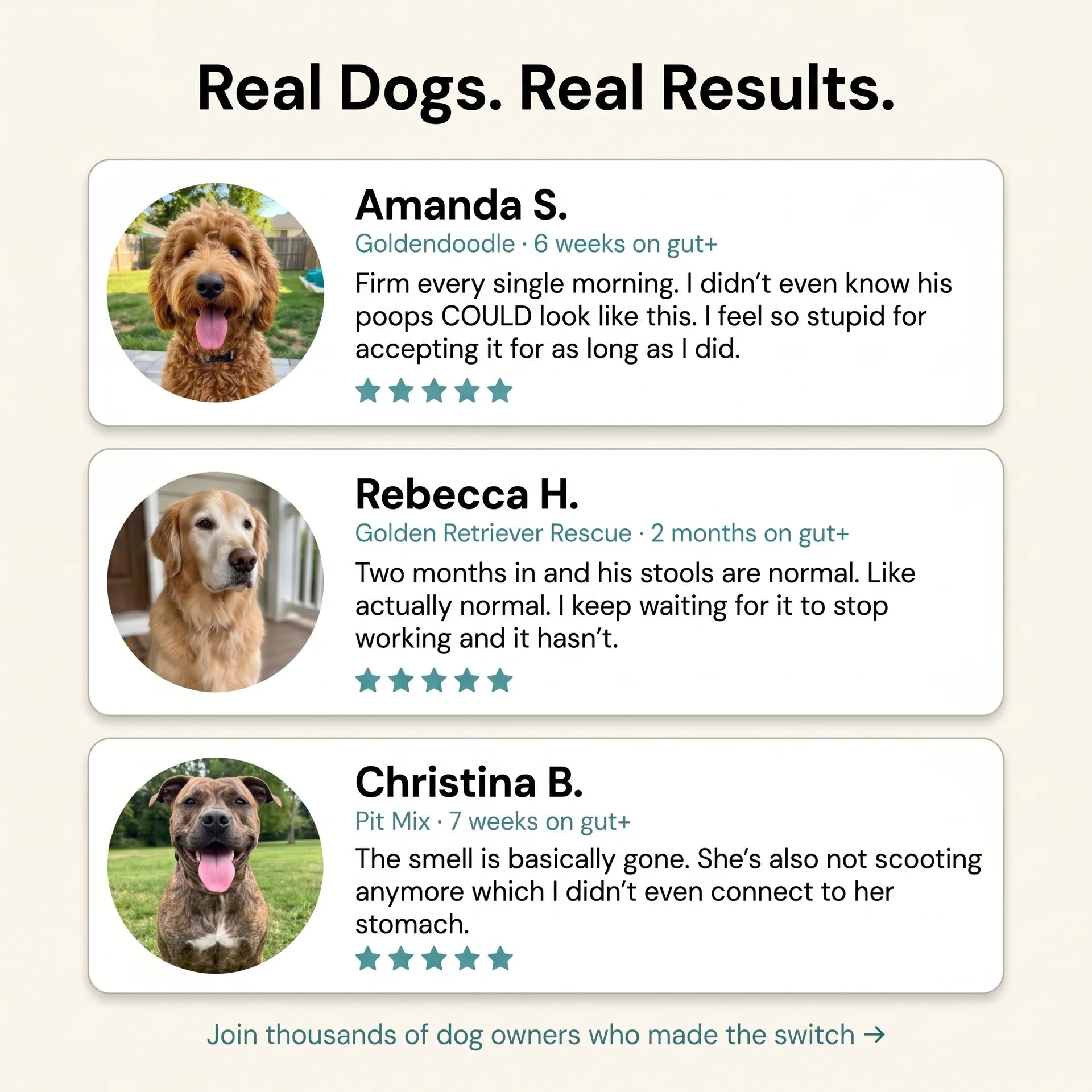 GUT+ for Dogs