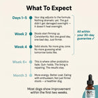 GUT+ for Dogs