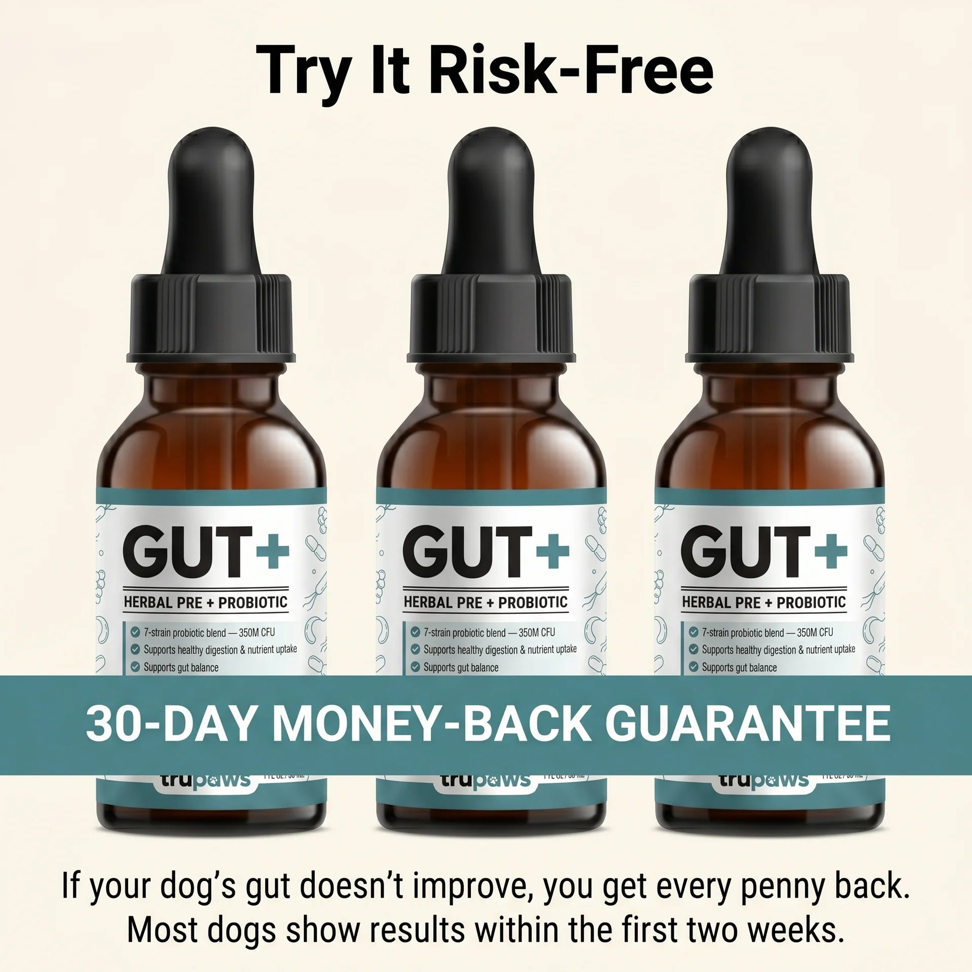 GUT+ for Dogs